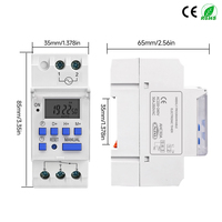 Nuevo Tipo de Interruptor de Tiempo Digital Programable Semanal de 7 Días para Riel DIN, 2 Cables, Control de Relé, AC 220V 230V 12V 24V 48V 16A