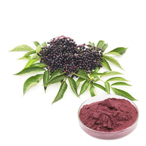 Vente en gros extrait de fruit de personne âgée 20/1 poudre d'extrait de personne âgée - Product Image 1