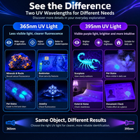 Senter UV LED USB-C Isi Ulang Industri ABS Mini Kuat 395nm Ultraviolet Cahaya Hitam Warna Ungu Tegangan Input 3.7V