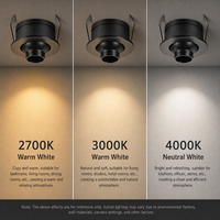 Luminaire encastré LED pour armoire 1W 25 ° /40 °   Poutre en aluminium noir CRI90, découpe 30 mm, 25 mm, garantie 3 ans