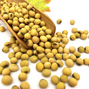 Vente en gros d'usine de soja jaune NO-GMO de haute qualité en vrac New Corp de Chine - Product Image 2