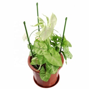Bâtons d'escalade avec 3 anneaux pour plantes <span class=keywords><strong>de</strong></span> jardin, <span class=keywords><strong>Support</strong></span> <span class=keywords><strong>de</strong></span> fleurs, en treillis floral, bacs à semis, dosettes, 40 pièces - Product Image 2