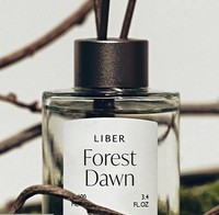 Diffuseur 100 ml LIBER, parfum d'ambiance coréen pour la maison, arôme longue durée, parfum haut de gamme, inspiré de la forêt, emballage élégant