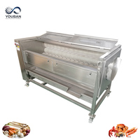 Machine à laver automatique pour jujubes, machine de nettoyage pour légumes secs et pitaya à vendre