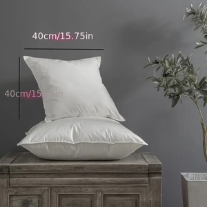 Mềm mại và thoải mái Gối lõi đệm gối chèn cho phòng ngủ một phòng khách, ghế sofa tựa lưng bông trắng ngỗng xuống lông - Product Image 6