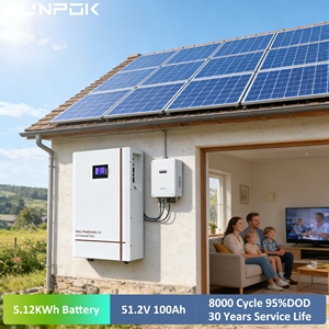 Batería de Iones de Litio SUNPOK Energy <span class=keywords><strong>Powerwall</strong></span> 100Ah 48V 200Ah, Paquete de Baterías Lifepo4 de 10Kwh, Batería Doméstica de Iones de Litio de 5Kwh 48V 100Ah - Product Image 1