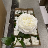 K-0171 Pivoines blanches de haute qualité au toucher réel, fleurs de pivoine en latex réalistes en vrac pour les centres de table de mariage, les arrangements floraux de fête