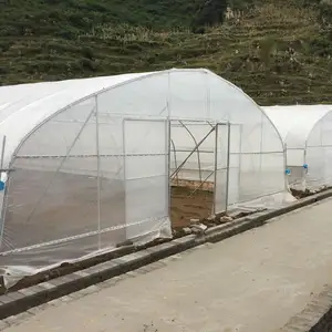 Commercial Chinese supplier hydroponics high tunnel greenhouses for mushroom with shading net