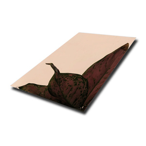 光沢のある316ステンレス鋼板エレベーターパネルミラー仕上げステンレス鋼板 - Product Image 6