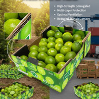 Carton d'expédition ventilé pour citrons et oranges, empilable, haute résistance, 5 kg, en carton ondulé, avec poignée
