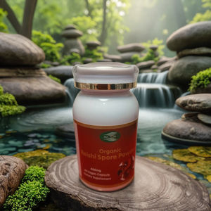 Frete Grátis 1 Frasco de Cápsulas de Extrato de Esporos de <span class=keywords><strong>Ganoderma</strong></span> Lucidum Orgânico - Product Image 2