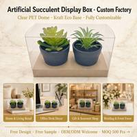 Boîte en PET transparente de haute qualité, 100 % transparente, pour l'affichage des plantes succulentes, emballage avec insert en papier ondulé