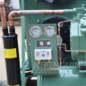 Unidad de refrigeración refrigerada por aire, unidades de condensación de freezer de explosión, 4PCS-15.2(Y) 4PCS-10.2(Y) 4TCS-8.2(Y) 12Hp R410A - Product Image 6