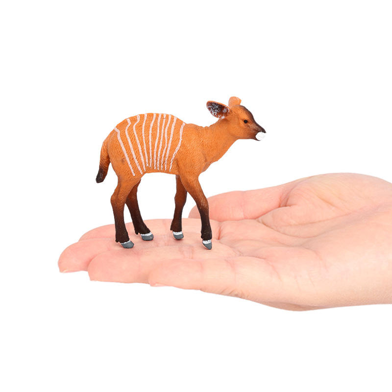 2271 Baby Bongo