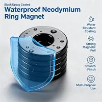 Aimants en néodyme, fer et bore, revêtus d'époxy noir, fabriqués sur mesure par un fabricant chinois