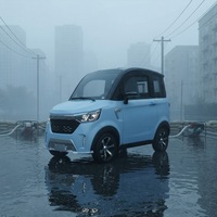ELION A2 2025, meilleur mini SUV électrique à 4 roues pour adultes, voiture à énergie nouvelle respectueuse de l'environnement avec certificat EEC, batterie au lithium