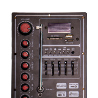 Module mono d'amplificateur de puissance audio OEM Carte de module d'amplificateur de guitare 40W * 2 récepteurs et amplificateurs