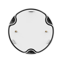 Alarme d'eau Zigbee avec batterie remplaçable