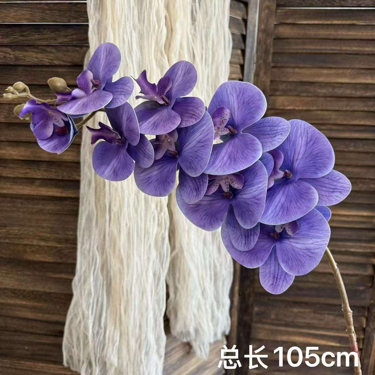 แพลติโคดอน แกรนดิฟลอรัม สีม่วง ฟาแลนนอปซิสเก้าหัว