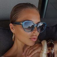 2026 Neue Damen-Sonnenbrille im Big-Cat-Eye-Design mit dickem Rahmen, schicke dreieckige Metallverzierung, stilvolle Damenbrille