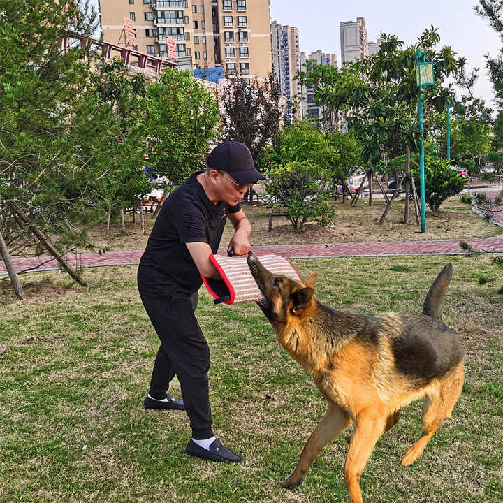 Working Dog K9 Training Working Dog K9 Training Personal