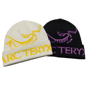 Oem Großhandel Custom Design Jacquard Beanie Hochwertige Unisex Cap Gestrickt Outdoor Winter Ski Acryl Beanie Hüte - Product Image 4