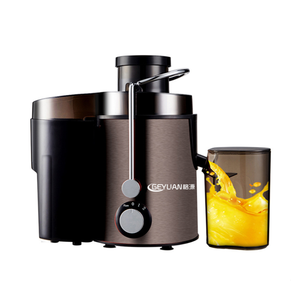 Nhãn Hiệu Riêng Thiết Kế Mới Cà Rốt Apple Máy Ép Trái Cây Masticating Máy Vắt Điện Thép Không Gỉ Cho Ngoài Trời Nhà Bếp Sử Dụng Nhà - Product Image 1