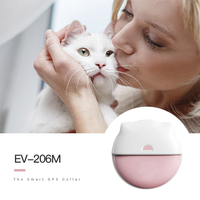 Eview EV-206 Suivi en direct 4G CAT-M Collier GPS pour petits chats