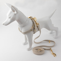 Ensemble Harnais, Collier et Laisse pour Animaux de Compagnie en PVC, Adapté aux Petits et Moyens Animaux, Réglable, Design, Étanche, Harnais pour Chien en PVC Facile à Enfiler
