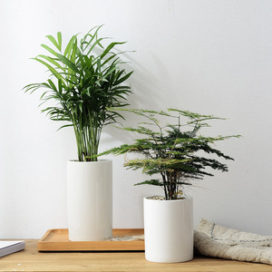 <span class=keywords><strong>Pot</strong></span> <span class=keywords><strong>de</strong></span> Fleurs en Céramique Blanche Design Personnalisé pour Bureau, Hôtel, Table, Jardin, <span class=keywords><strong>Balcon</strong></span>, Simple Européen, pour Succulentes - Product Image 2