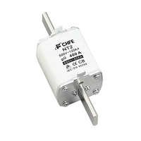 Fusible CHFE NT2 de Acción Rápida, Cerámico, 125A 200A 250A 350A 400A, Protección de Sistema AC, Fusible NH2 NH3, 500VAC, 1600A, Personalizado