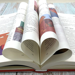 Murphy's Law Li Yuan Edición ilustrada Libro de tapa dura para adultos de economía china - Product Image 6