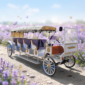 Carruaje Turístico a Precio de Mayorista para Fabricantes, Carruaje de Paseo, Transporte Especial en Venta - Product Image 1