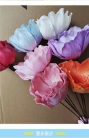 Vente en gros Diffuseur fait main pour arrangement de mariage Grand lys Magnolia Tongcao Sola Fleur Plantes séchées pour parfum de maison