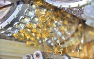 Gel Mềm Dầu Cá Omega3 EPA DHA Lợi Ích Cho Trẻ Sơ Sinh/Trẻ Sơ Sinh/Trẻ Em/Trẻ Nhỏ - Product Image 5