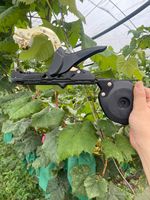 Machine professionnelle OEM en acier inoxydable pour le ligaturage des plantes, idéale pour le soutien des vignes, tomates, concombres et poivrons