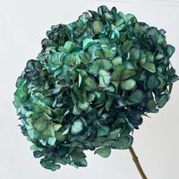 Groothandel Ins Populaire Geconserveerde Grote Blad Hortensia Bloemen Gedroogde Hortensia Voor Bruiloft Decoratie Hortensia Bloemen