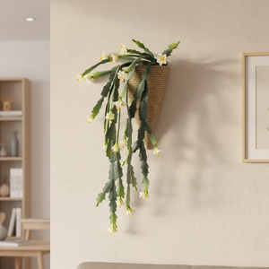 <span class=keywords><strong>Cactus</strong></span> Epiphyllum Artificiale da Parete <span class=keywords><strong>in</strong></span> Vaso Conico Intrecciato, Decorazione di Orchidea <span class=keywords><strong>Cactus</strong></span> Finta Pendente - Product Image 2