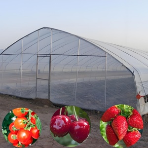Irrigação Estufa Sistema Crescente Agricultura Singlespan HighTunnel <span class=keywords><strong>Greenhouse</strong></span>