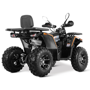 Tao Motor 2025 Nouveau Design Transmission par Chaîne 4x2 250cc ATV <span class=keywords><strong>Quad</strong></span> Bon Marché Vente en Gros Chine Cuatrimoto ATV 250cc avec EPA CE - Product Image 3