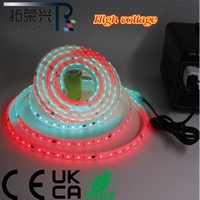 Bande LED RVB adressable haute tension 220V |   Rouleau continu de 50 m, pas de découpe nécessaire |   5050 RGB 60LEDs/M IP67 Étanche USB