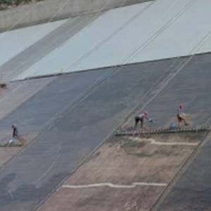 <span class=keywords><strong>Poliurea</strong></span> raspadora de <span class=keywords><strong>mano</strong></span>, componente de alta resistencia y alta elasticidad - Product Image 4