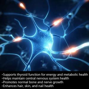 Le compresse di iodio supportano la funzione tiroidea per l'energia e la salute metabolica migliora l'integratore di iodio per unghie e unghie dei capelli - Product Image 2