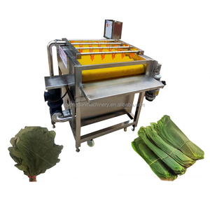 เครื่องล้างผักใบมะรุมเขียวเครื่องทำความสะอาดใบกก SUS304 - Product Image 1