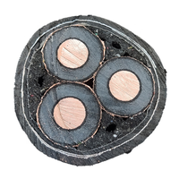 Cable de Alimentación con Aislamiento de PVC y Núcleo de Cobre de 4x120 mm² con Clasificación IP65 para Construcción, Resistente a la Intemperie y de Uso Versátil