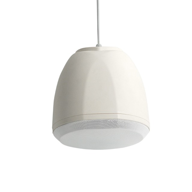 Black Hanging Suspended PA Ceiling Speaker for Public Address