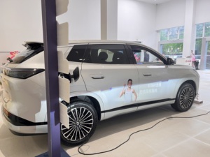 รถยนต์ดองเฟิง เอโอลัส L8 ปี 2025 รุ่นปลั๊กอินไฮบริด SUV 5 ประตู 5 ที่นั่ง รุ่น 185 กม. พร้อมระบบขับขี่อัจฉริยะระดับ L2 รองรับการชาร์จเร็ว สำหรับครอบครัว พลังงานใหม่ - Product Image 4