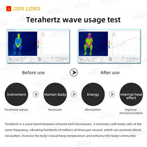 2025 thérapie térahertz soulagement de la douleur vibrant <span class=keywords><strong>acupuncture</strong></span> masseur de Circulation sanguine électrique corps complet térahertz <span class=keywords><strong>Machine</strong></span> - Product Image 6