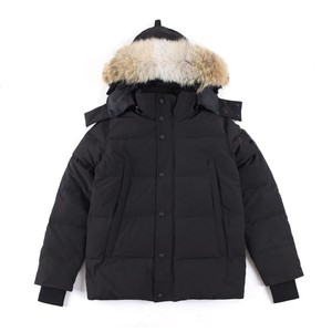 Parka da Uomo di Lusso Personalizzato con Cappuccio in Pelliccia di Lupo, Traspirante, Chiusura a Cerniera, Cappotto Invernale Stile Casual, Processo di Rivestimento, Sacchetto Antipolvere Canadese - Product Image 1