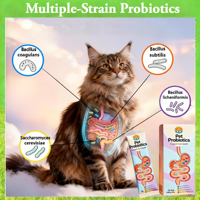 Poudre de probiotiques la plus vendue de l'usine pour petits chiens et chats – Absorption rapide, sans céréales, pour digestion sensible et soutien immunitaire